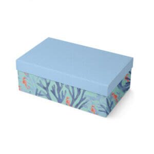 Caja Julia 2024-2