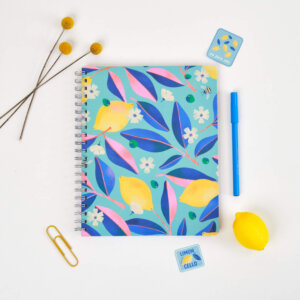 Cuaderno Productivo 2025-1