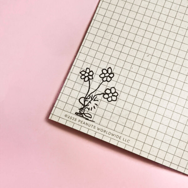 Cuaderno Cosido Snoopy 095 X2 - Imagen 5