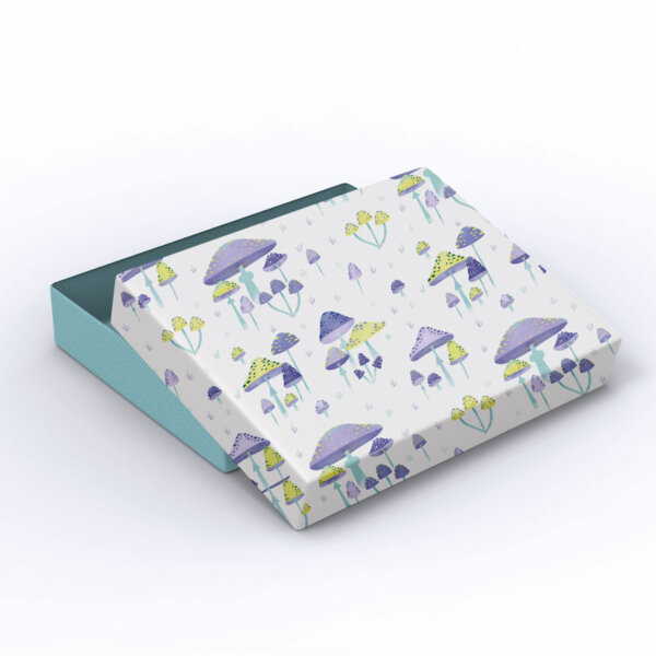 Caja Closet 2025-2 - Imagen 4